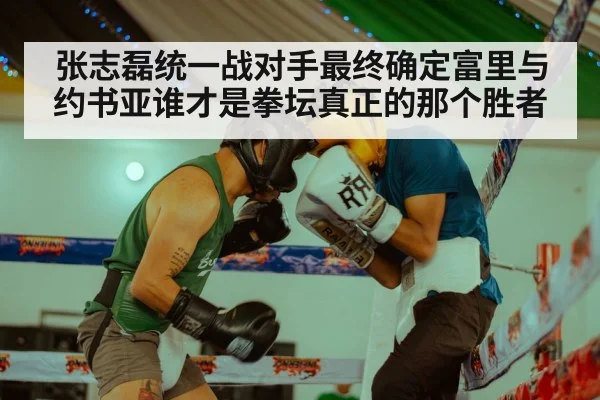 Zhang Zhilei boxing